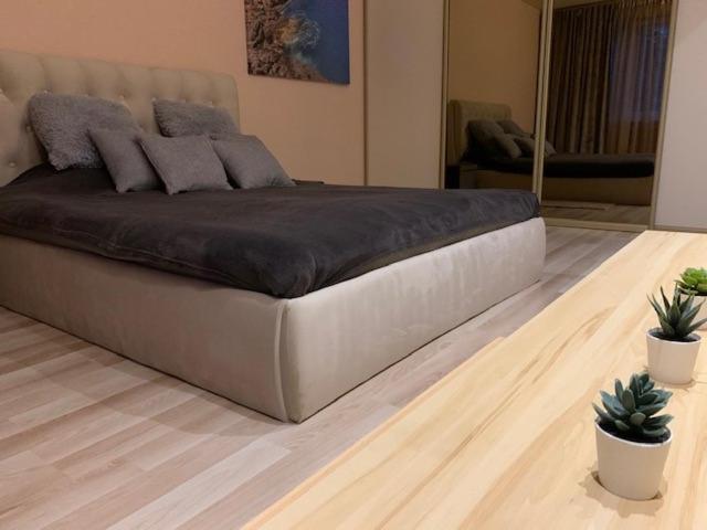 Oak Lounge Lux Apartment Riga Exterior photo